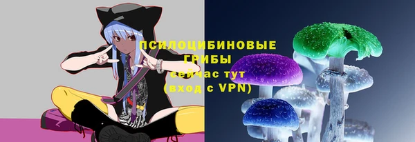 spice Алзамай
