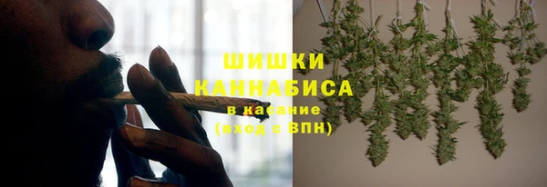 spice Алзамай