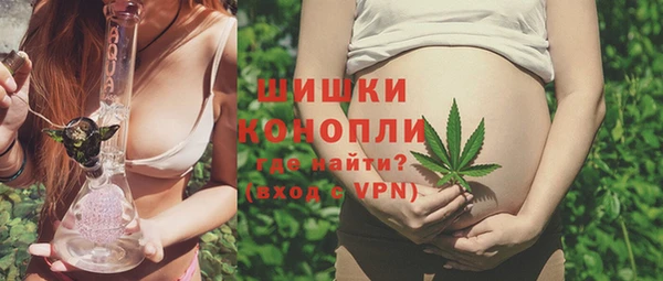 spice Алзамай