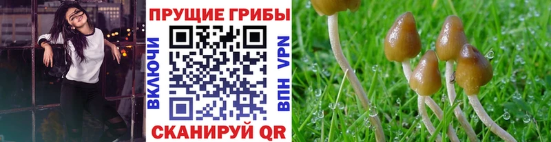 Галлюциногенные грибы мухоморы  Курлово 